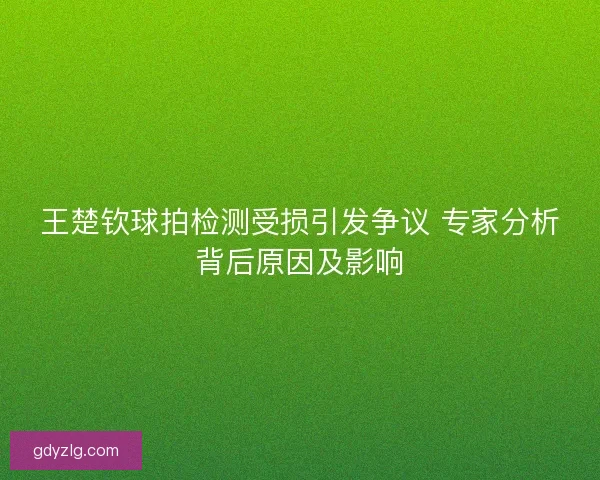 王楚钦球拍检测受损引发争议 专家分析背后原因及影响