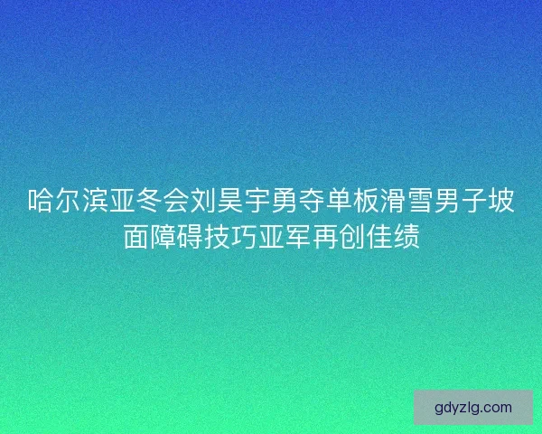 哈尔滨亚冬会刘昊宇勇夺单板滑雪男子坡面障碍技巧亚军再创佳绩