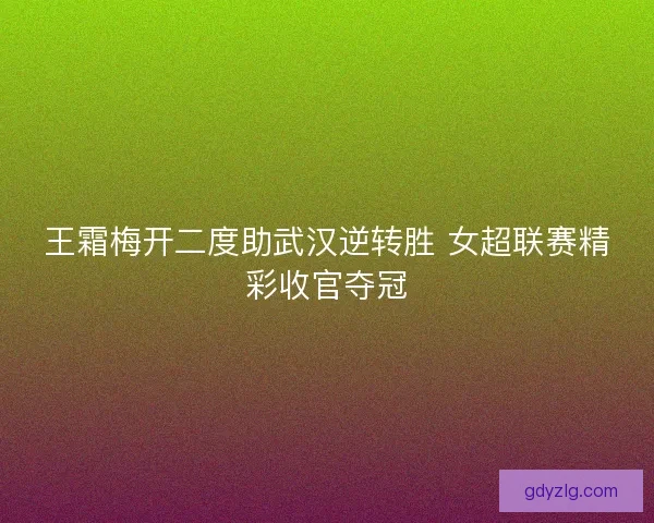 王霜梅开二度助武汉逆转胜 女超联赛精彩收官夺冠