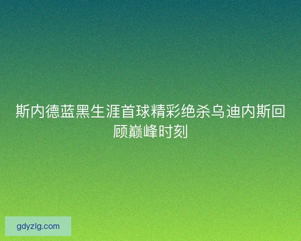 斯内德蓝黑生涯首球精彩绝杀乌迪内斯回顾巅峰时刻