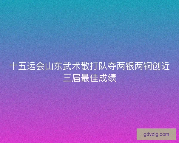 十五运会山东武术散打队夺两银两铜创近三届最佳成绩
