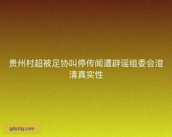 贵州村超被足协叫停传闻遭辟谣组委会澄清真实性