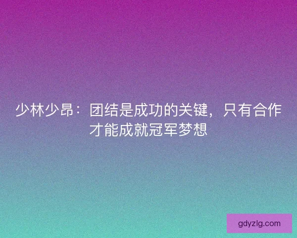 少林少昂：团结是成功的关键，只有合作才能成就冠军梦想