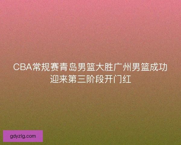CBA常规赛青岛男篮大胜广州男篮成功迎来第三阶段开门红